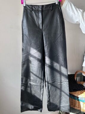 Babaton Aritzia faux leather pants 2